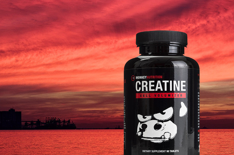 Product Focus – Monkey Creatine