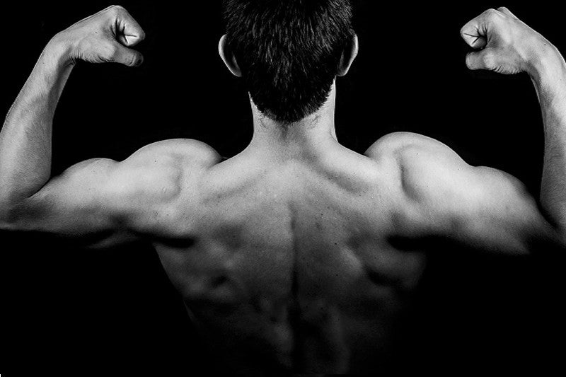 The Truth About BCAAs