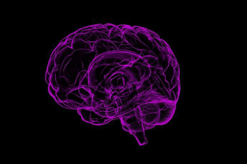 The Greedy Brain, Recovery & Increased Cognitive Function