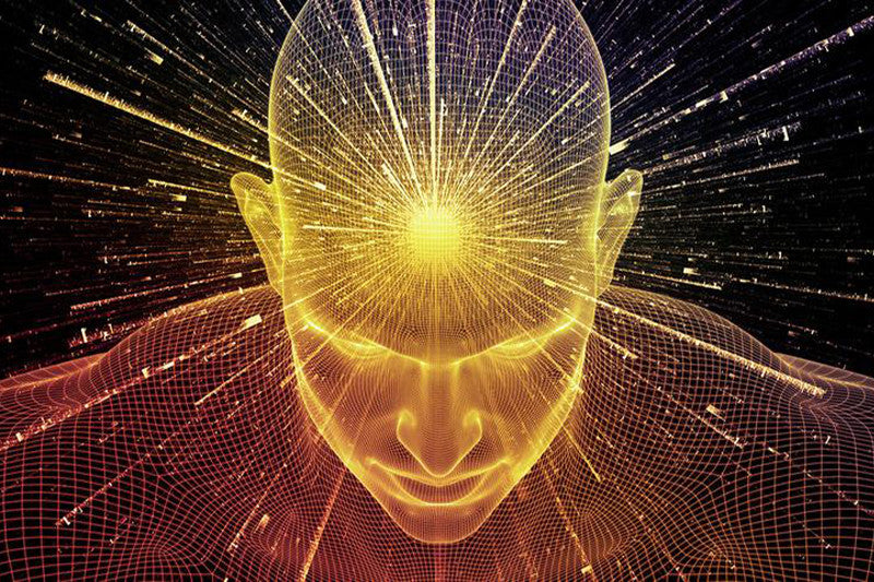 The Pineal Gland - Conspiracy, Reality & Longevity