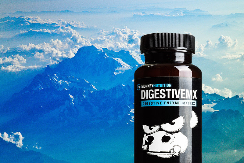 Product Focus - Digestive MX