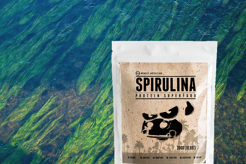 Product Focus - Spirulina
