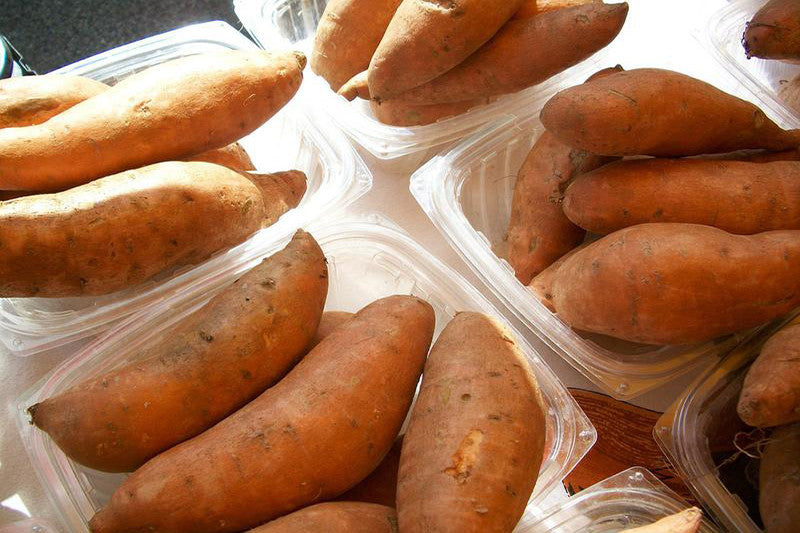 A Brief Look Into The Importance Of Carbs